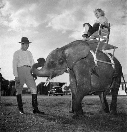 432_660_kubrick_circus006