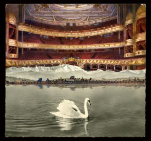 2-el-cisne-blanco