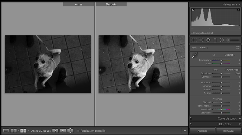 Curso Iniciación Fotografía Taller Escuela Fotografía Audiovisual Alicante Mistos