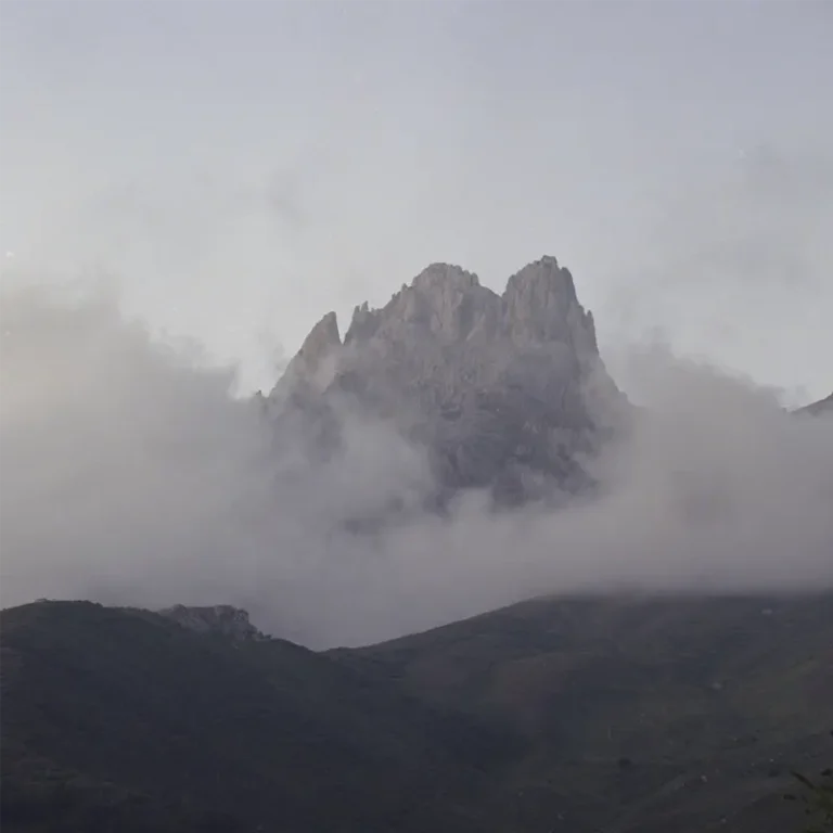 Desarrolla tu mirada. Curso online de fotografía de autor en Mistos (Alicante)