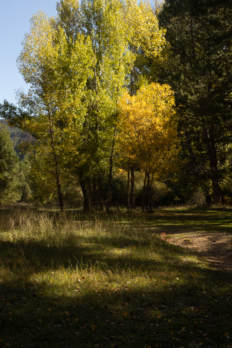 Fotografía de Otoño en el Alto Tajo Guadalajara viaje fotográfico Escuela de Fotografía Mistos Alicante