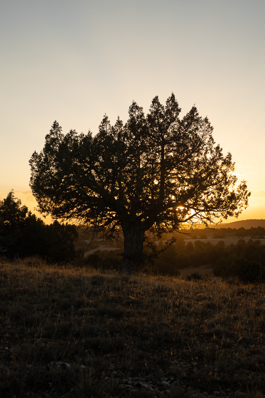 Fotografía de Otoño en el Alto Tajo Guadalajara viaje fotográfico Escuela de Fotografía Mistos Alicante