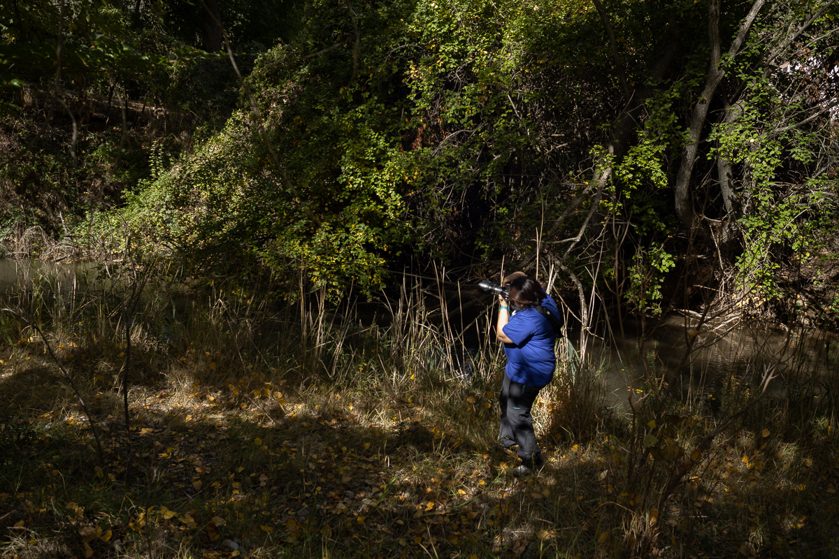 Fotografía de Otoño en el Alto Tajo Guadalajara viaje fotográfico Escuela de Fotografía Mistos Alicante