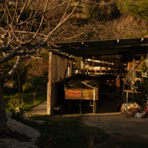 CURSO DE PROYECTO DOCUMENTAL