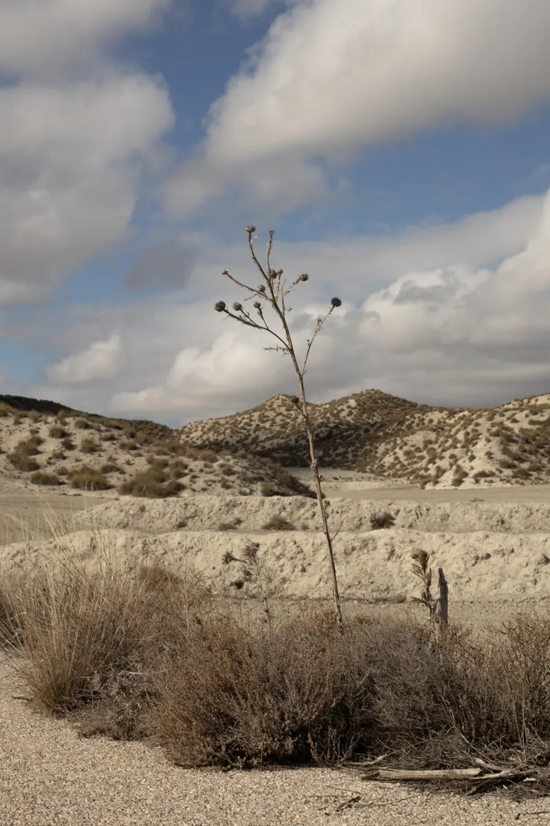 viaje fotográfico al altiplano de granada 8