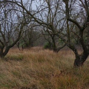 Curso de Composición y Lenguaje Visual