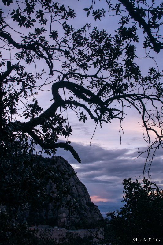 Viaje fotográfico Montserrat escuela Mistos Alicante fotografía de paisaje