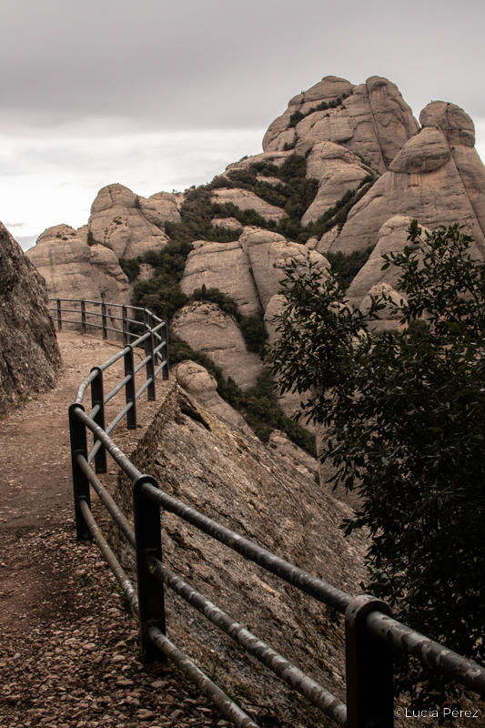 Viaje fotográfico Montserrat escuela Mistos Alicante fotografía de paisaje