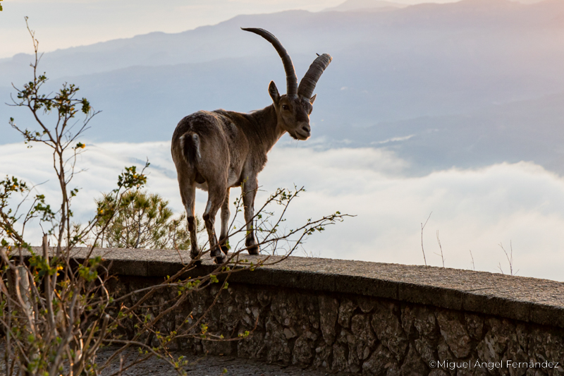 Viaje fotográfico Montserrat escuela Mistos Alicante fotografía de paisaje