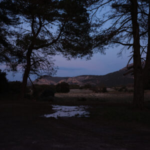 Curso de Storytelling, edición y narrativa fotográfica