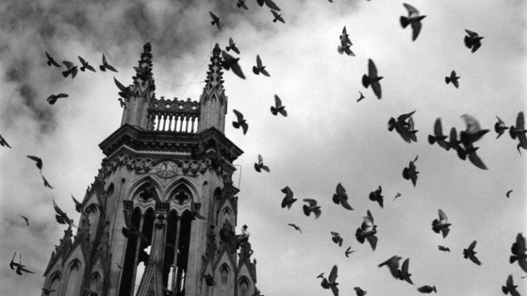 Visita guiada a la exposición de fotografía de Alberto García-Alix en Benidorm