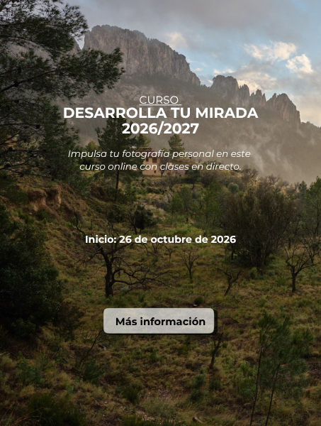 Curso Online Fotografía Desarrolla tu Mirada Mistos Alicante
