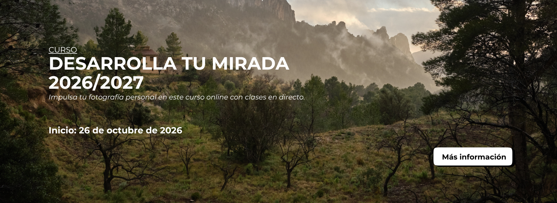 Curso Online Fotografía Desarrolla tu Mirada Mistos Alicante