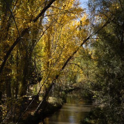 Fotografía de Otoño en el Alto Tajo Guadalajara viaje fotográfico Escuela de Fotografía Mistos Alicante