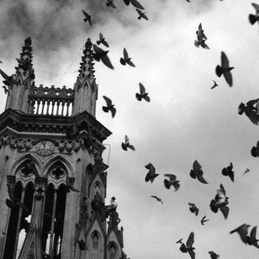 Visita guiada a la exposición de fotografía de Alberto García-Alix en Benidorm